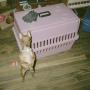 Donna Laird Photo 24