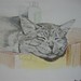 Roxanne Gray Photo 12