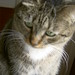 Mitzi Mills Photo 14