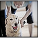 Chloe Do Photo 8