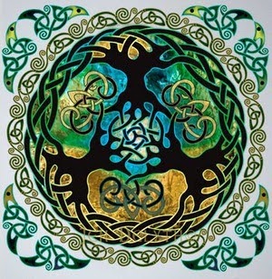 Amy Donohue Photo 29
