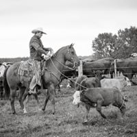 Andrew Jamison Photo 27