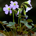Lee Fleming Photo 40