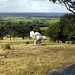 Lawrence Beck Photo 10
