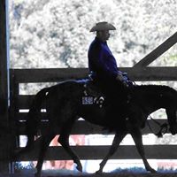 Jeff Webber Photo 41