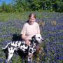 Deborah Lindsey Photo 27
