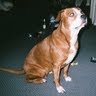 James Pennington Photo 36