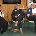 John Roark Photo 37