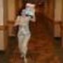 Brenda Peters Photo 19