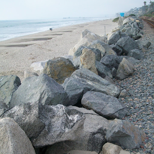 Rachelle Cox Photo 11