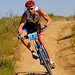 Conrad Stoltz Photo 12