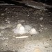 Judy Elston Photo 17