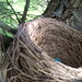 Robin Kendall Photo 15