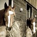 Leigh Robinson Photo 26
