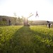 Matthew Turner Photo 18