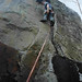 Steven Greco Photo 9