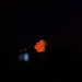 Christy Moore Photo 6
