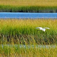 Karen Spindler Photo 16