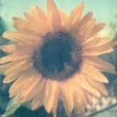 Brianna Jimenez Photo 6