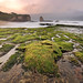 Joshua Miles Photo 7