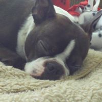 Heather Burns Photo 37