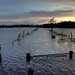 Glenn Flood Photo 11