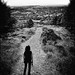 Julia Shaw Photo 43