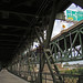 Kc Lewis Photo 7