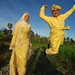 Anis Ahmad Photo 24