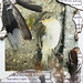 Sarah Finch Photo 15