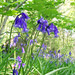 April Crabtree Photo 22
