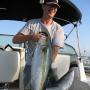 David Kinman Photo 20