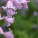 Heather Withers Photo 24