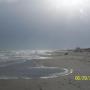 Theresa Devine Photo 20