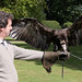 Tim Kent Photo 36