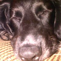 Lynne Wills Photo 3