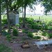 Donna Woodland Photo 18