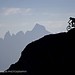 Ian Morrison Photo 43