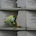 David Staten Photo 16