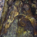 Rusty Garrison Photo 9