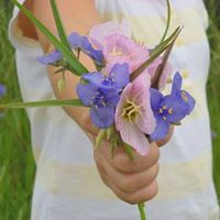 Sarah Burt Photo 33