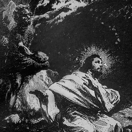 Edward Schulz Photo 27