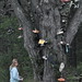 Nathan Mccauley Photo 17