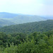 Marshall Thornton Photo 16