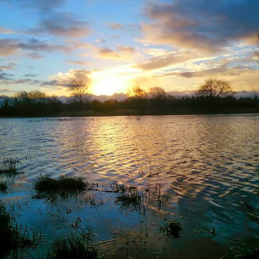 Martin Coyle Photo 10