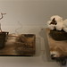 Ann Burks Photo 20