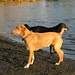 Roger Connors Photo 11