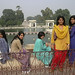 Kavita Gupta Photo 27