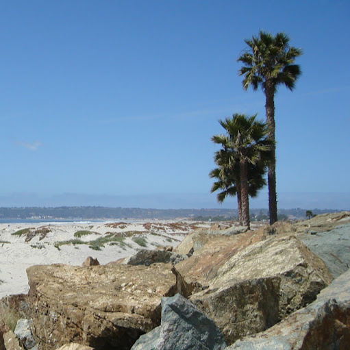 James Toth Photo 16