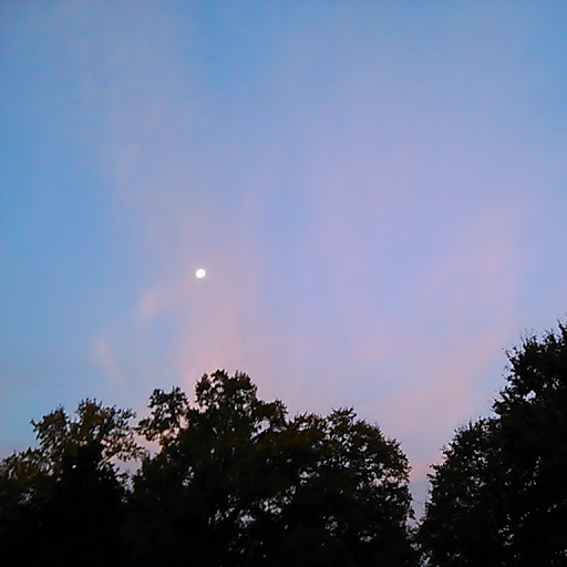 Patricia Hamby Photo 27